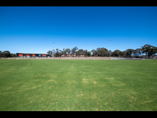 Oval 1 