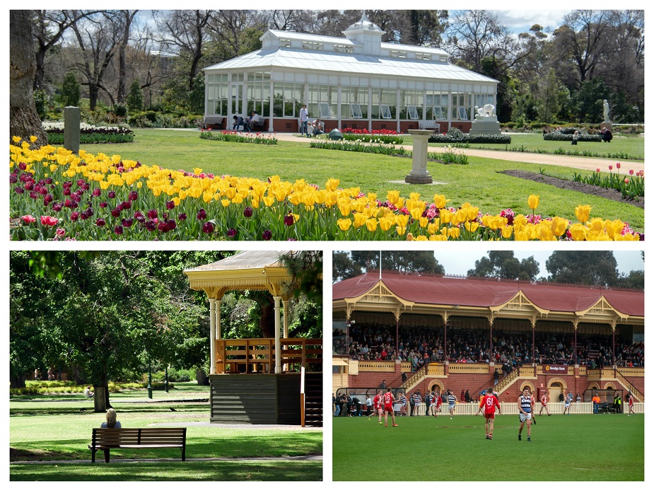 CBD Precinct