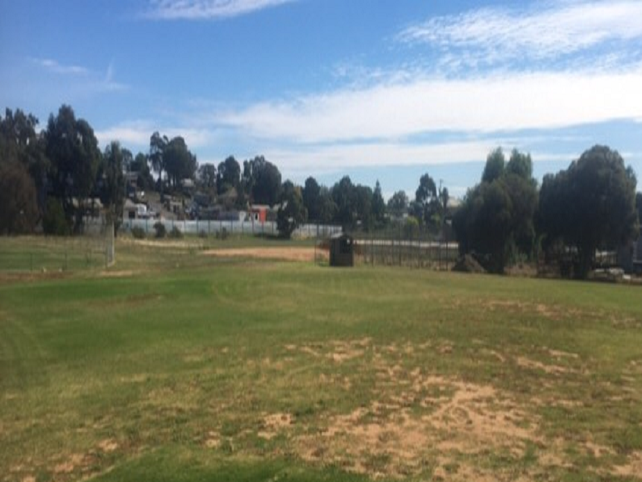 Junior Baseball Diamond 2