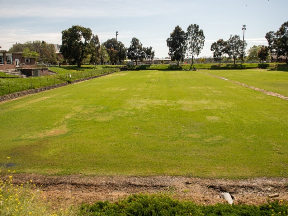 Lawn Area 1 