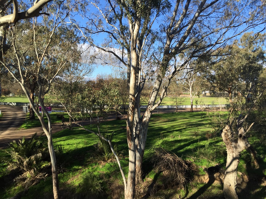 Malone Park, Marong