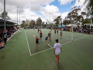 QEO Netball Courts