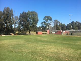 Junior Baseball Diamond 1