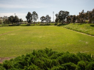 Lawn Area 2 
