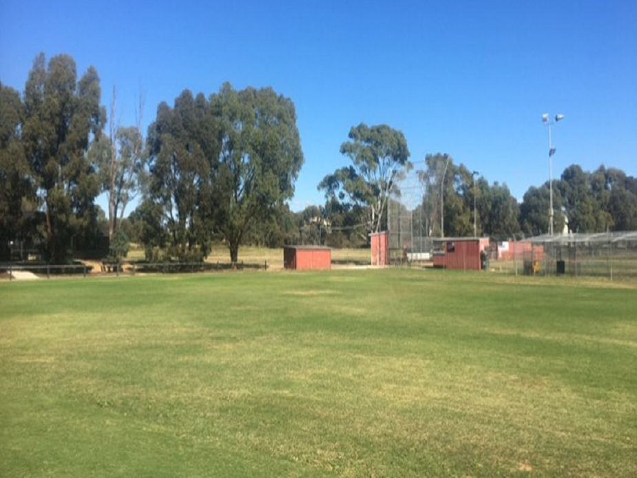 Junior Baseball Diamond 1