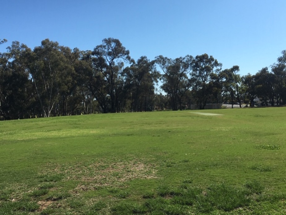 Strathdale Park Sports Grounds Rodda Oval