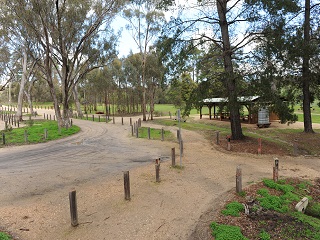 Crusoe Park Number 7