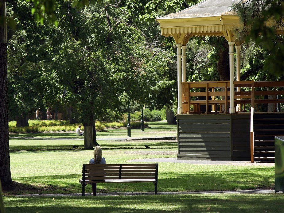 Rosalind Park Bunya Lawns
