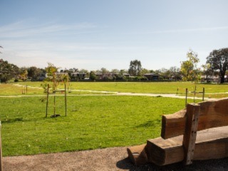 Lawn Area 1 