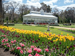 Conservatory Gardens