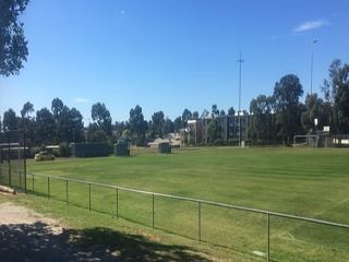 Soccer 