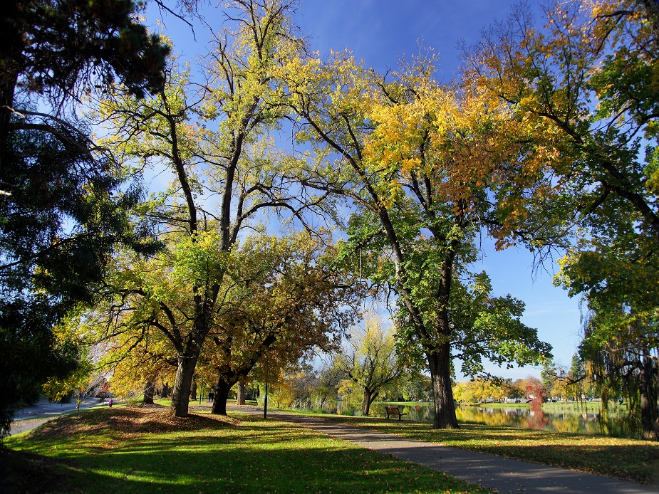 Lake Weeroona Creekside Lawns
