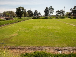 Lawn Area 1 
