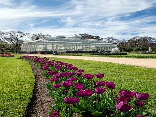 Conservatory Building