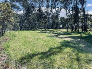 Grassed Area 