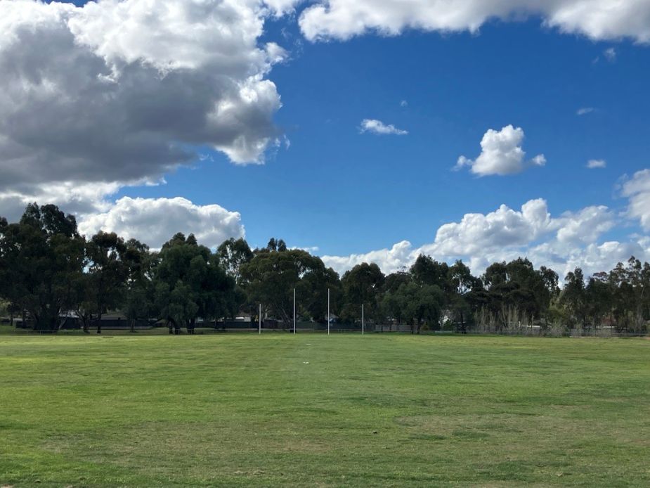 Backhaus Oval