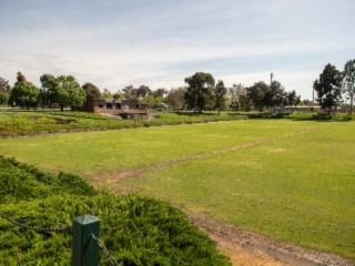 Picture of both bookable lawn areas 1 & 2 
