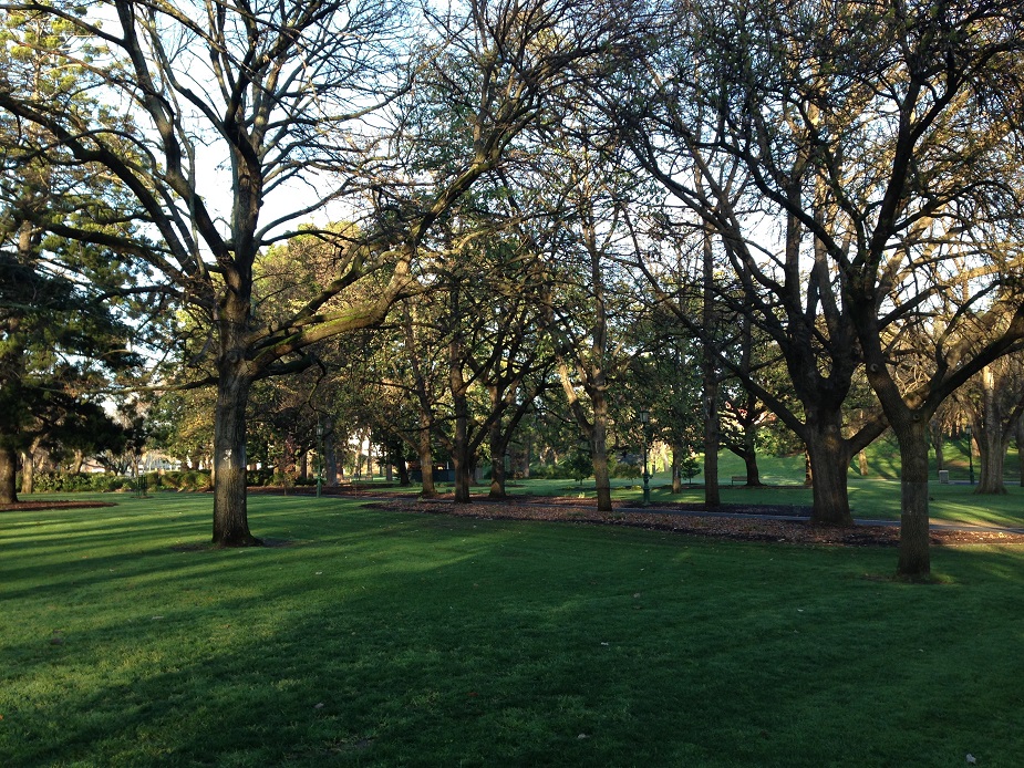 Rosalind Park Pine Lawn
