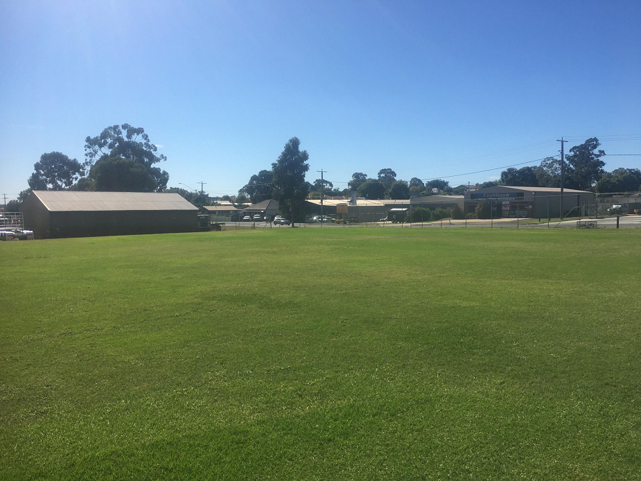 Junior Baseball Diamond 3