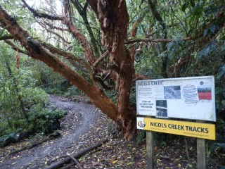 Nicols Creek