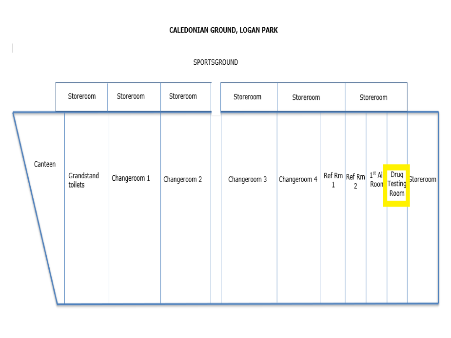 Caledonian Ground Dunedin City Council