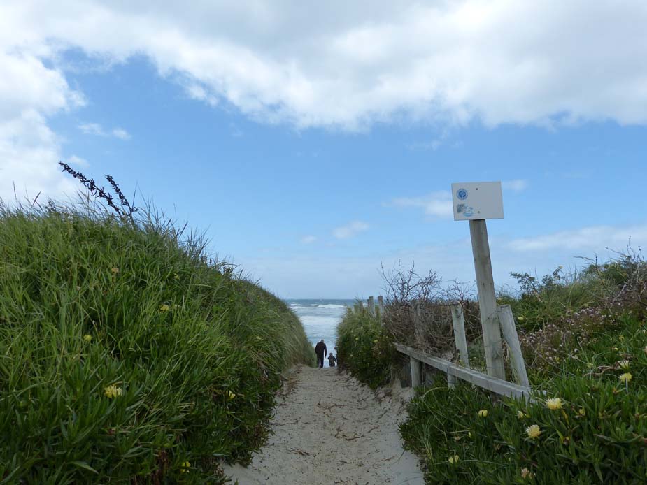 John Wilson Ocean Drive - Beach Access