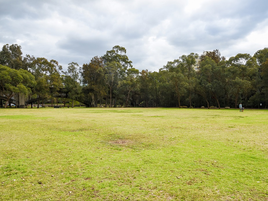 Burns Bay Reserve