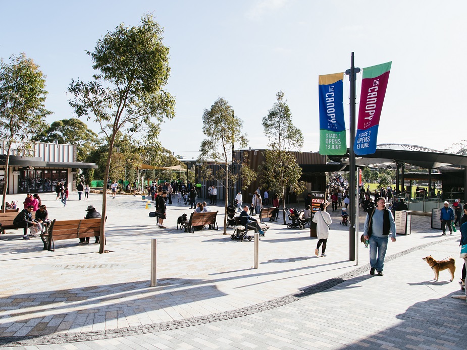 The Canopy Lane Cove Council