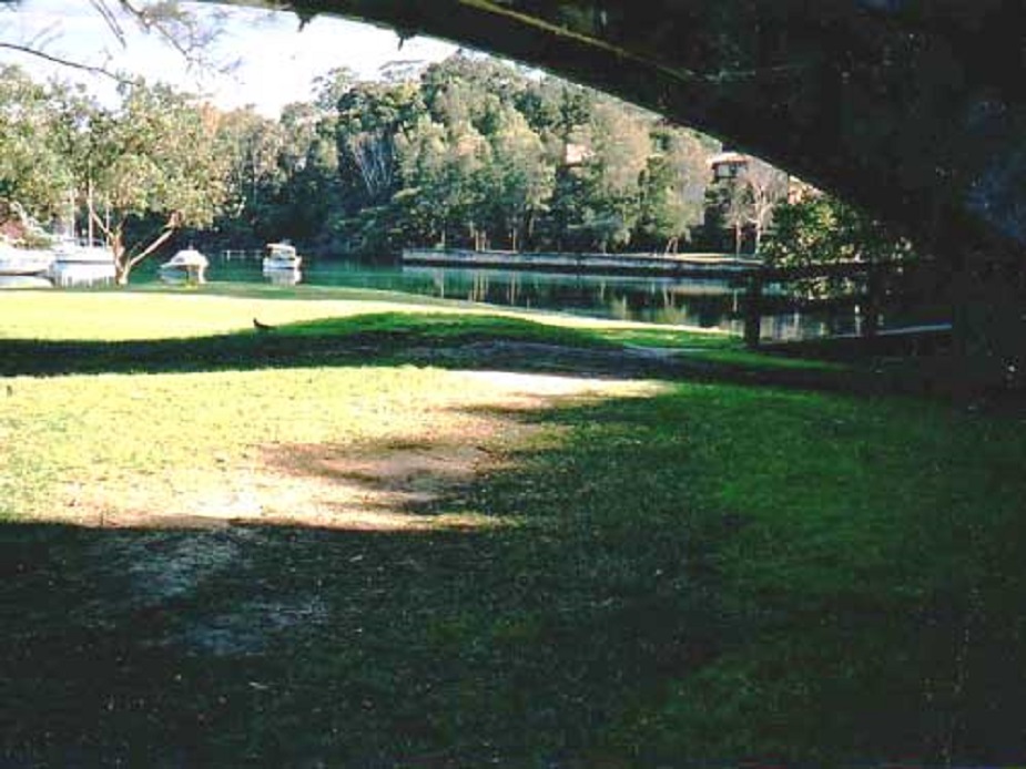 Burns Bay Picnic Area