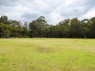 Burns Bay Reserve 