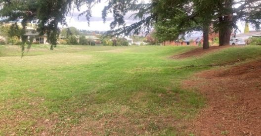 Photo of Leafmere Reserve