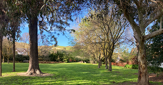 Photo of Morrington Reserve 