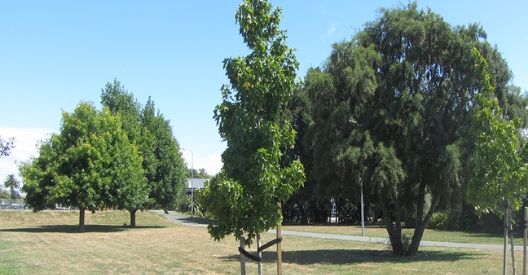 Photo of Snowden Crescent Reserve