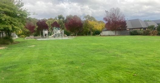Photo of George Young Reserve