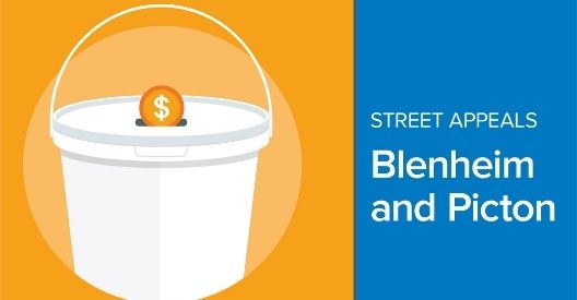 Blenheim and Picton Street Appeals
