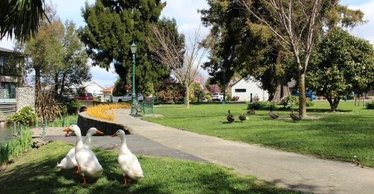 Photo of Springlands Green