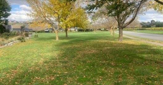 Photo of Marlborough Ridge Reserve