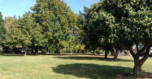 Photo of Murphys Creek Reserve