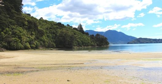 Photo of Double Bay Reserve