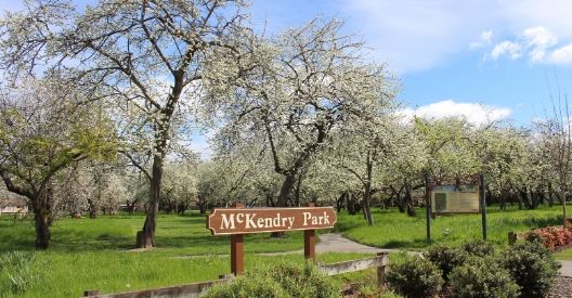 Photo of McKendry Park
