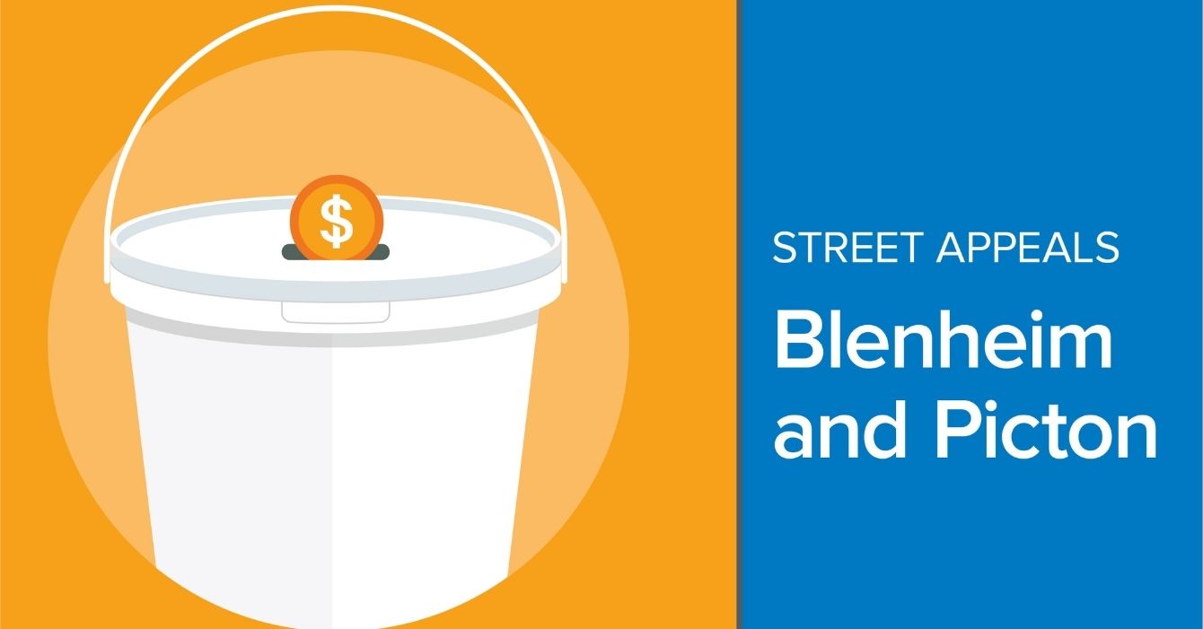 Blenheim and Picton Street Appeals