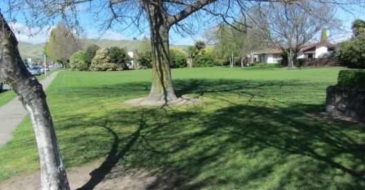 Photo of Manor Place Reserve