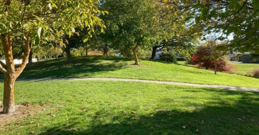 Photo of Fulton Stream Reserve
