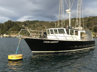 Careys  Bay