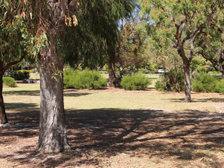 Coolidge Reserve