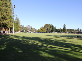 Labouchere road park view