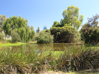 Clydesdale Reserve lake