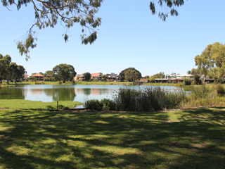 Lake next to Zone 11