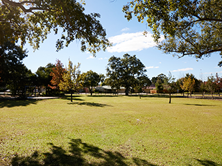 Marsh Avenue Reserve