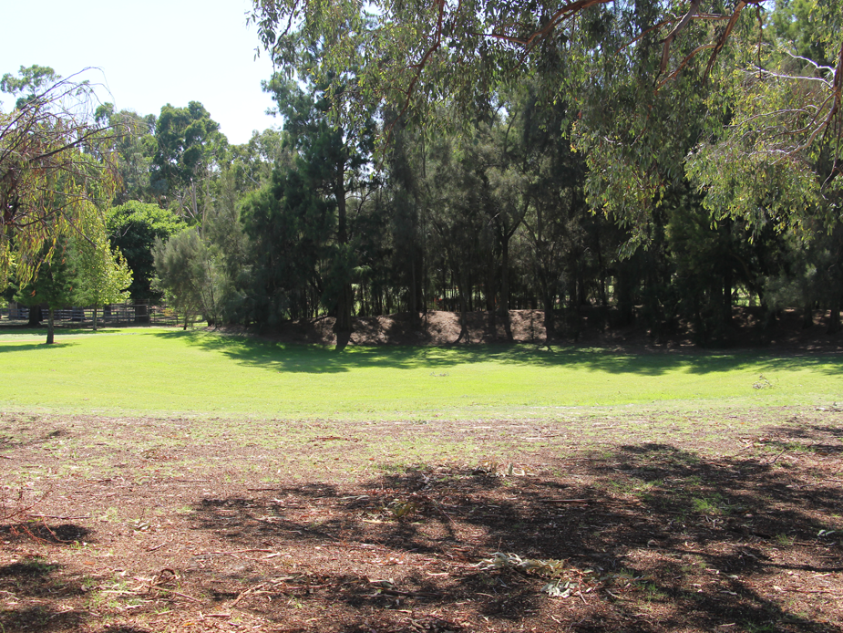 Amphitheatre